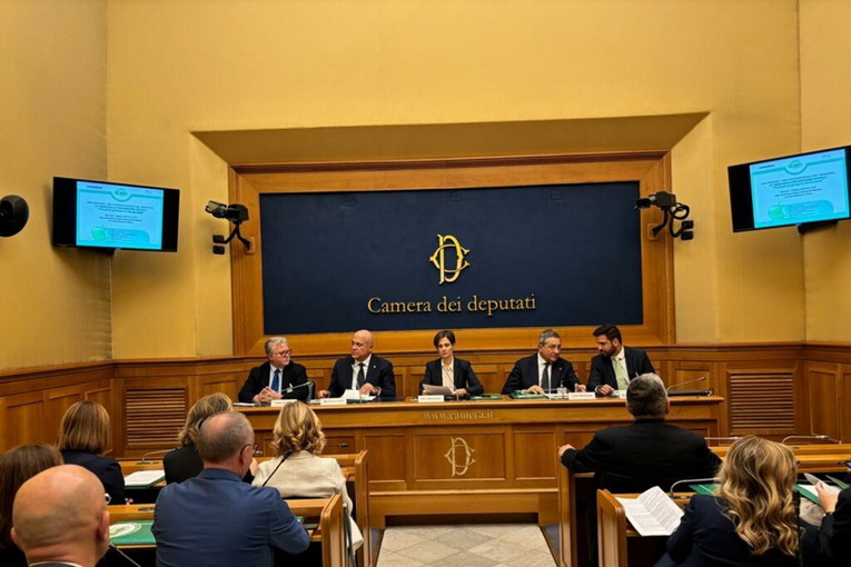 Cure dentali, in Italia il 70% dei ragazzi presenta carie o lesioni dello smalto